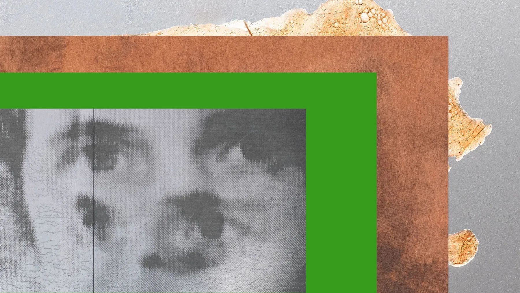 NAS Grad Show Header Banner