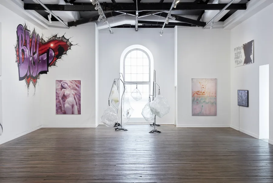 SEARCHERS, installation view. Photographer: Zan Wimberley.