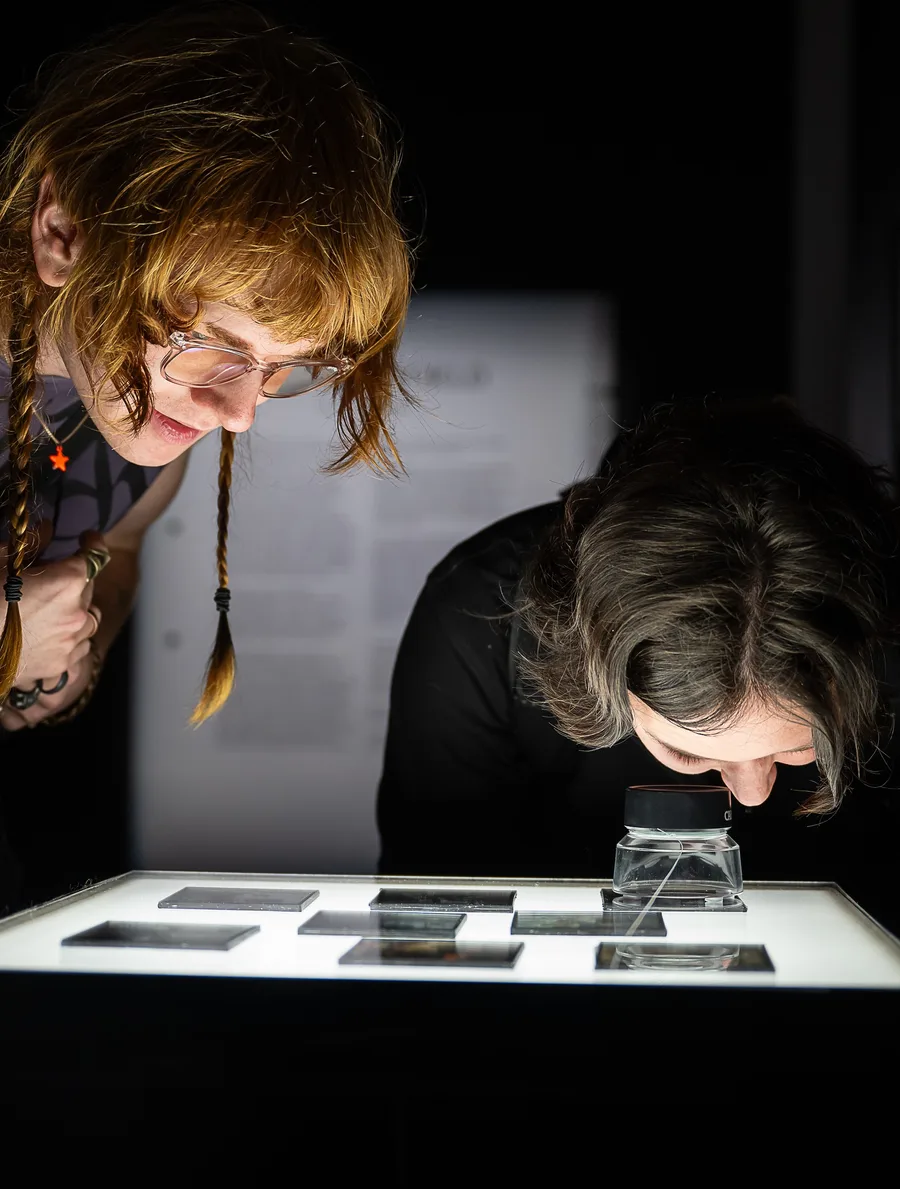 Zahalka World 389 nicole anderson copy