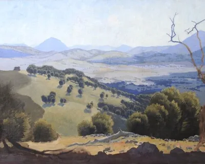 Picture1 1