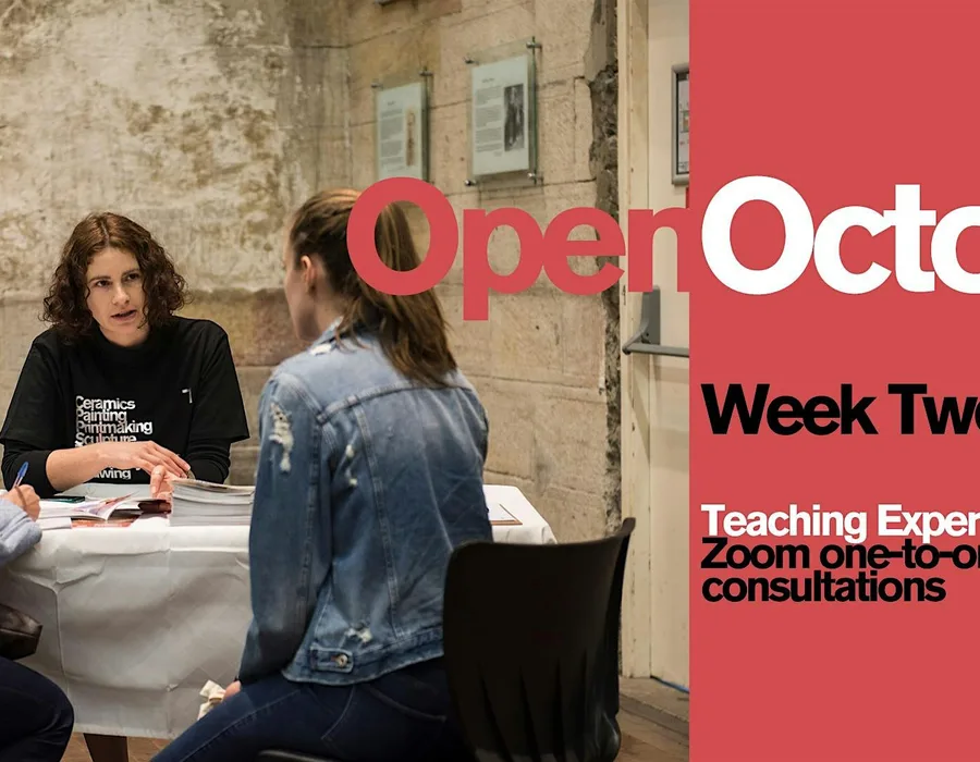 Online zoom one on one consultation