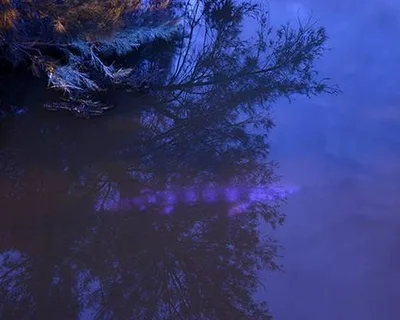 R44 0 755 400 w1200 h678 fmax