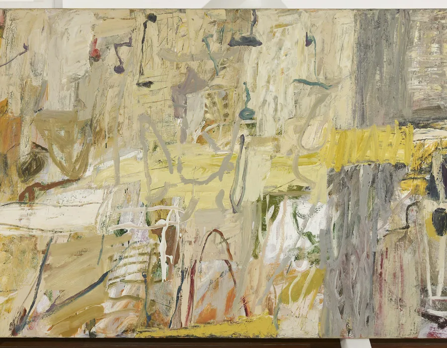 Radiant places panel discussion with elisabeth cummings nas invite