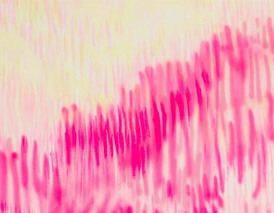 National art school bfa exhibition opening night