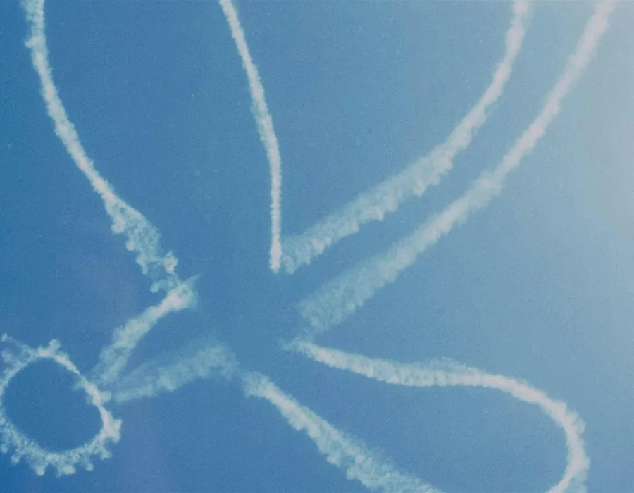 Curators tour guy warren