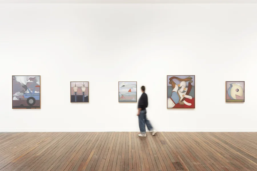Installation view, 'Mitch Cairns: Artist's Mouth', National Art School Gallery, Sydney, 2026, image courtesy and © the artist, photograph: Zan Wimberley