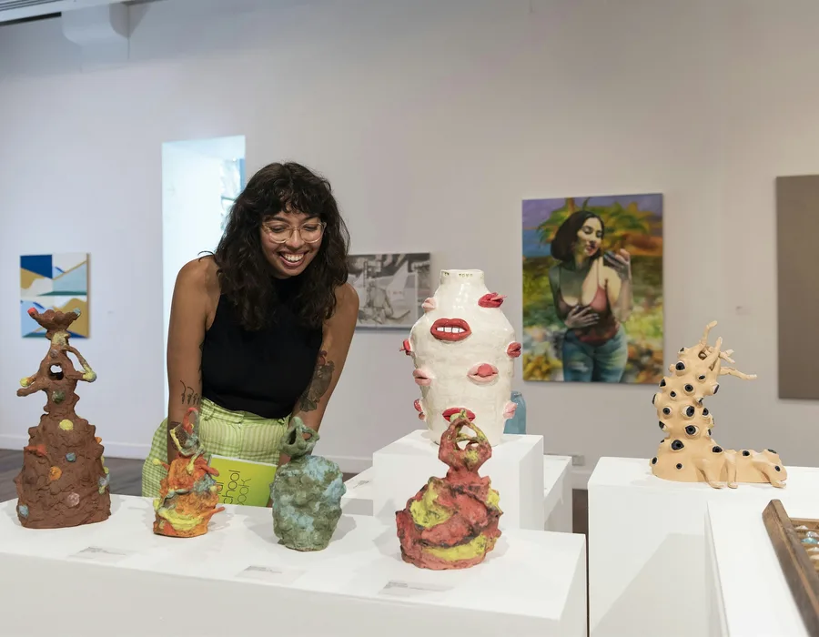 Bachelor of fine art webinar