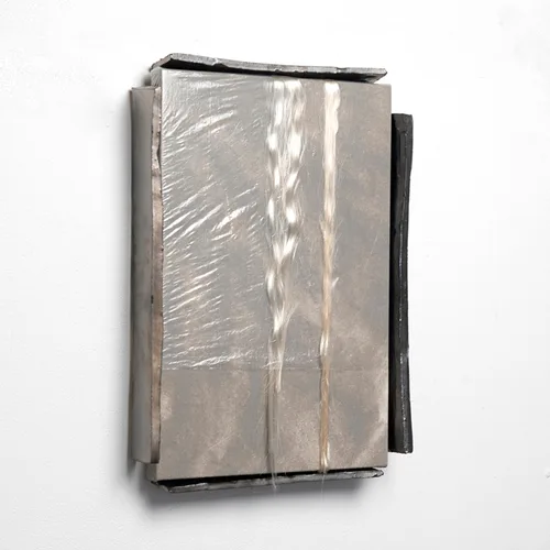 Kenya Peterson 
‘Coney Island Baby’ 