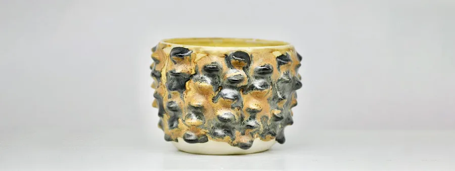 Isabella Parker web header