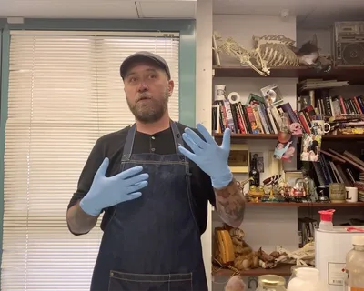 Screen Shot 2020 04 21 at 2 49 09 pm 1