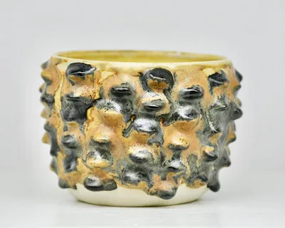 Isabella Parker web header