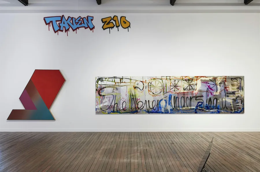 Who speaks for culture panel discussion