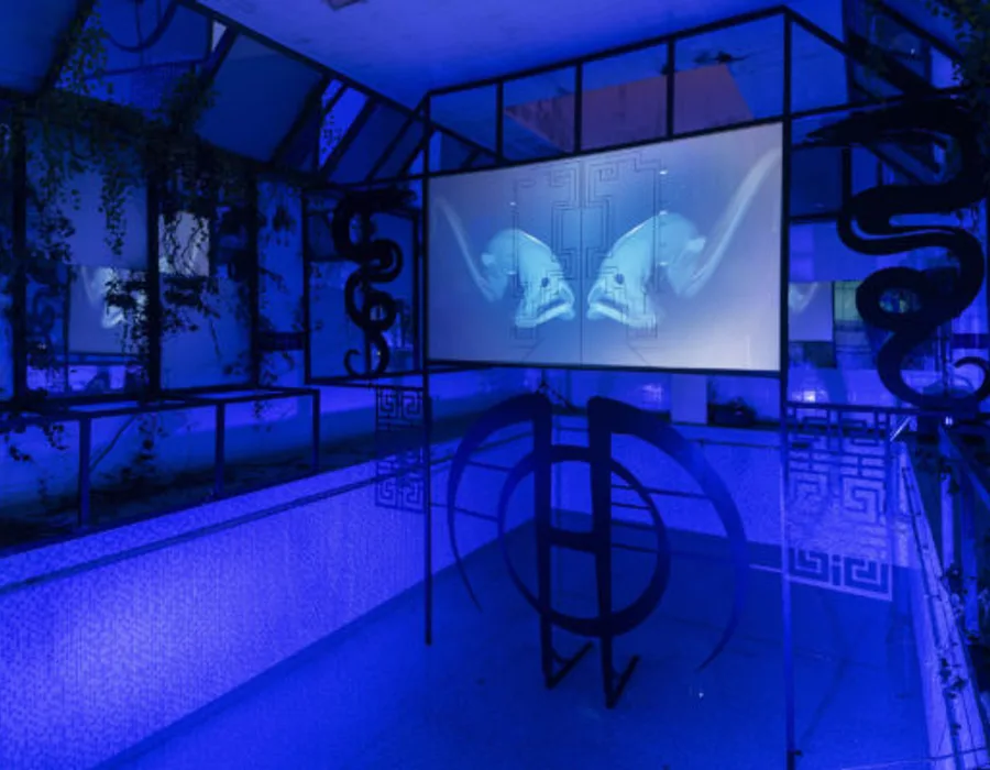 Semelparous Joey Holder 33 1 600x400