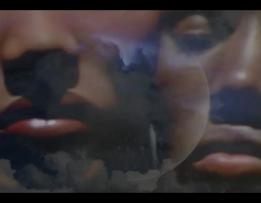 Hannah Catherine Jones Owed to Diasporas LR