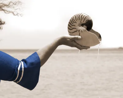 The Oyster Fisherman 1 60x80