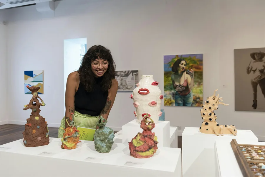 Bachelor of fine art webinar