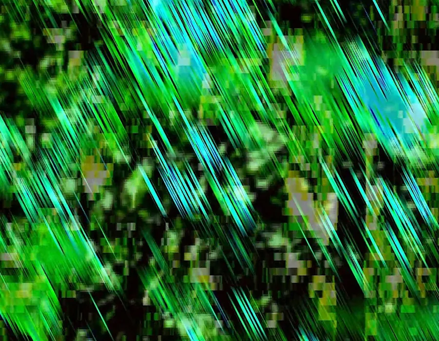 Nas first year video art screening event