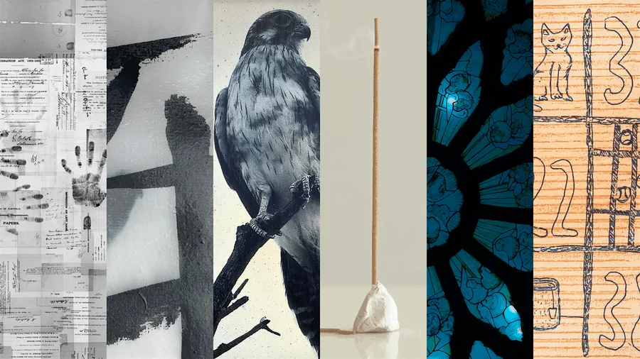 The neighbour at the gate opening night