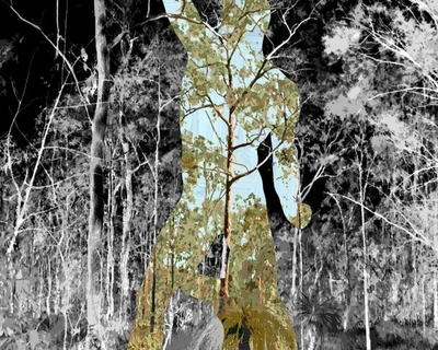 Gary Carsley Boxer Outside Mockup 002 618x740