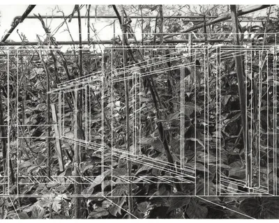 Grealy Jane Marias Garden Scheme C scaled