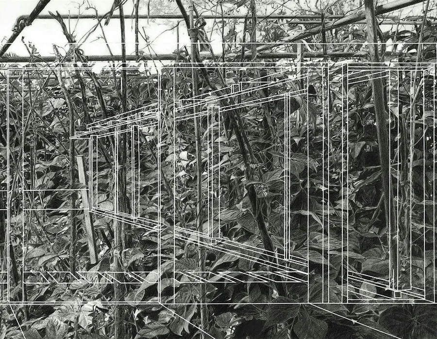 Dobell drawing prize 23 opening night