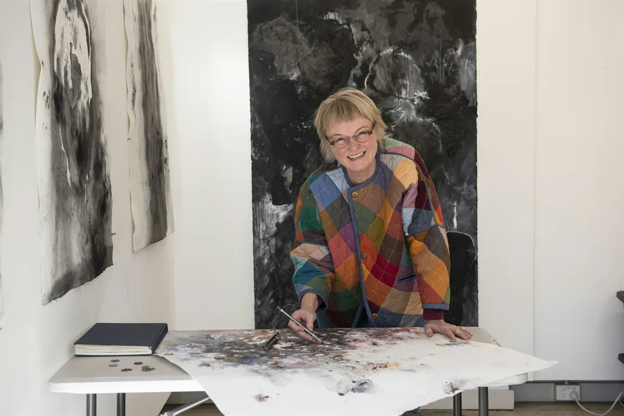 Bachelor of fine art webinar for mature age students