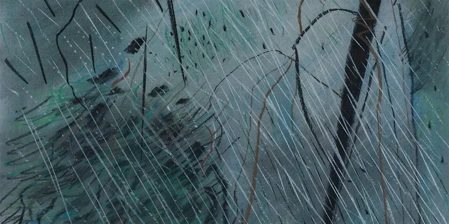 From the mountain to the sky guy warren drawings opening night