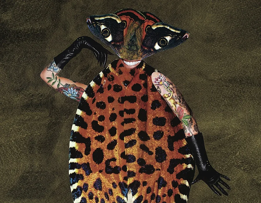 National art school queer contemporary launch