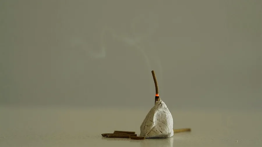 Artist led demonstration james nguyen