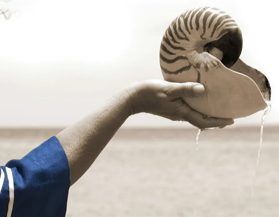 Fiona foley in conversation