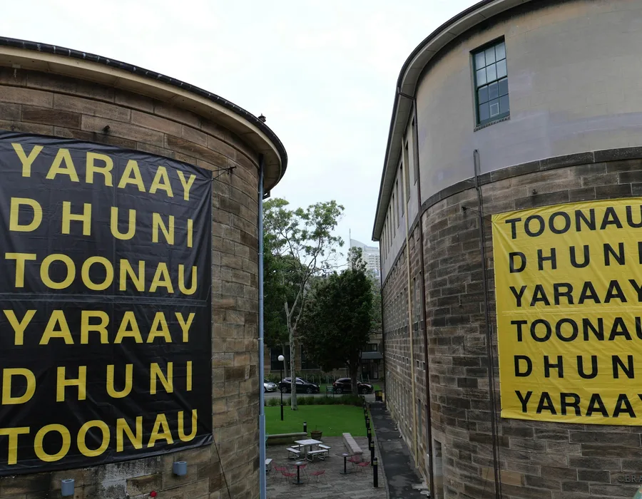 Nas art forum dr liz bradshaw