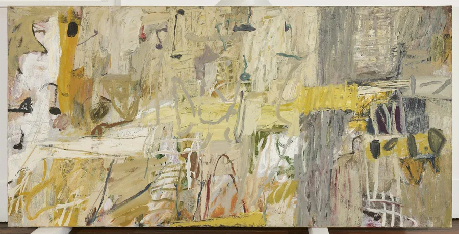 Radiant places panel discussion with elisabeth cummings nas invite