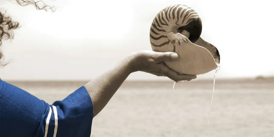 Fiona foley in conversation