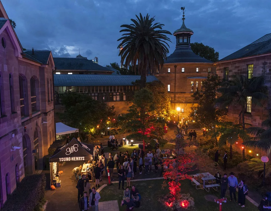 National art school mfa exhibition opening night