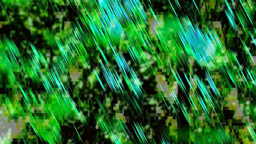 Nas first year video art screening event