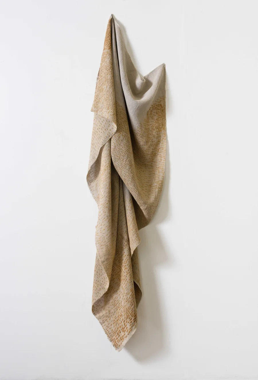 Fiona Currey Billyard The Procure